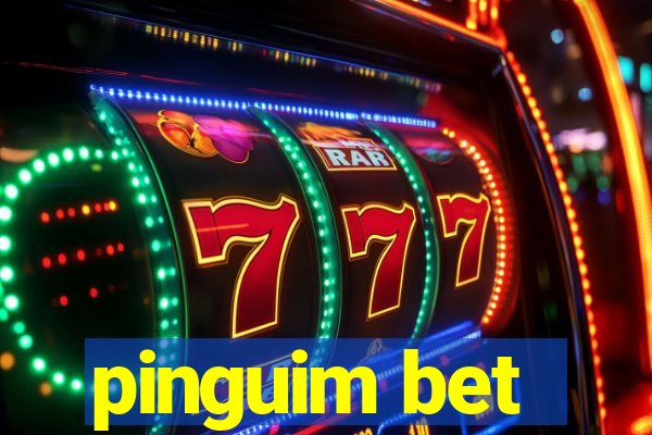 pinguim bet